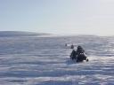 snow mobiling across an ice field
